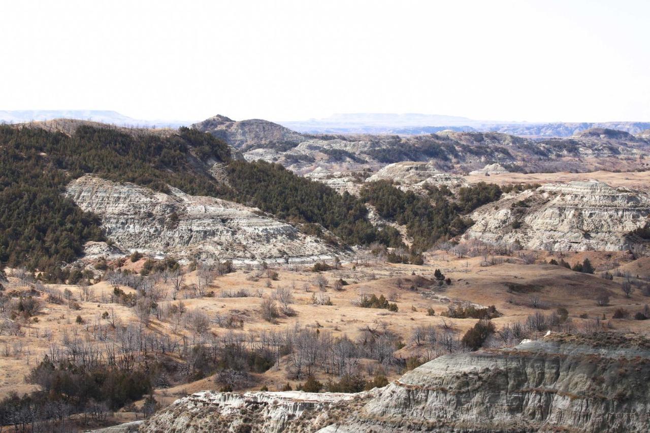 Badlands Suite Less Than 1 Mi To Teddy Roosevelt Park! Medora Kültér fotó