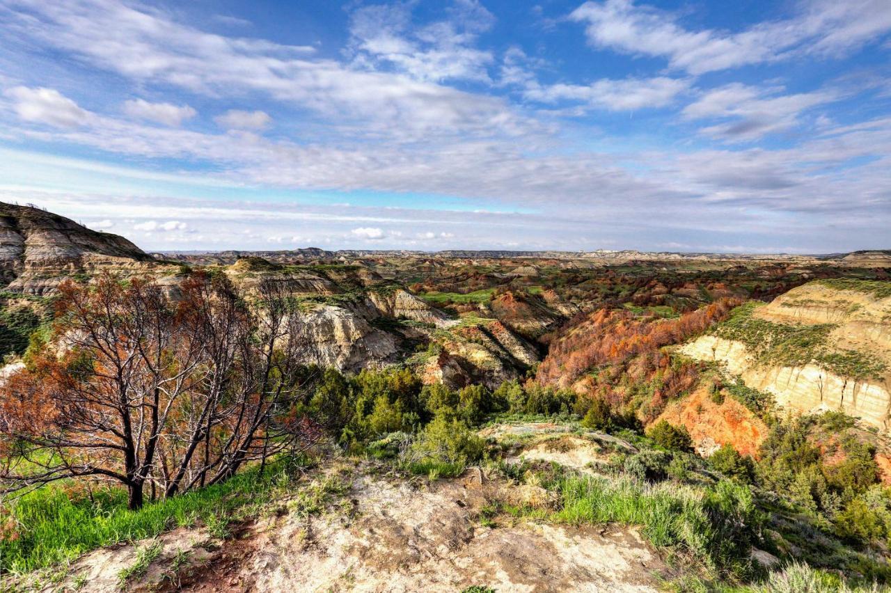 Badlands Suite Less Than 1 Mi To Teddy Roosevelt Park! Medora Kültér fotó