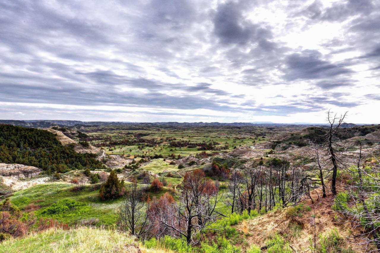 Badlands Suite Less Than 1 Mi To Teddy Roosevelt Park! Medora Kültér fotó